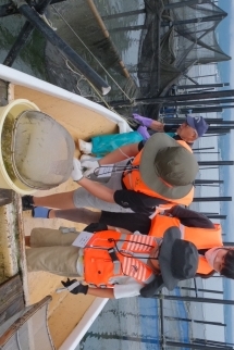 ワカサギ取るで３