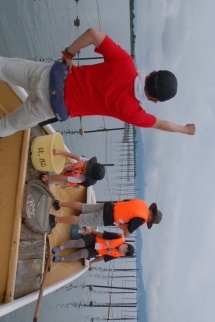 恒例の。