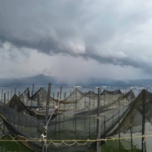 LINE_ALBUM_2026エリ漁_260819_27