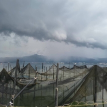 LINE_ALBUM_2026エリ漁_260819_28